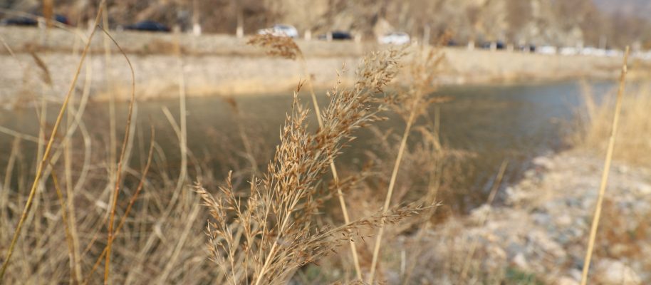 清明踏青——白河湾